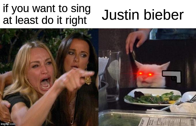 Woman Yelling At Cat Meme | if you want to sing at least do it right; Justin bieber | image tagged in memes,woman yelling at cat | made w/ Imgflip meme maker