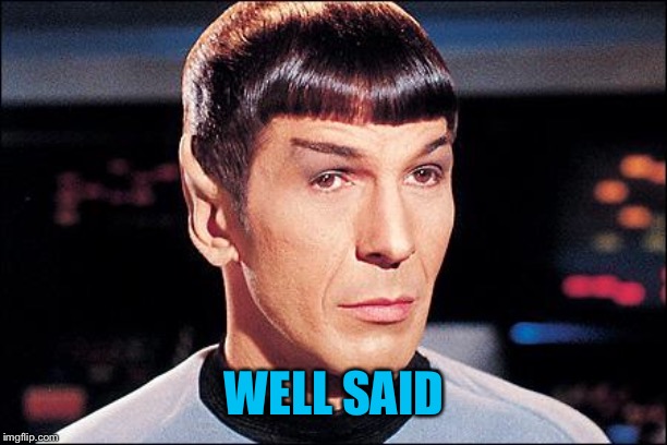 Condescending Spock | WELL SAID | image tagged in condescending spock | made w/ Imgflip meme maker