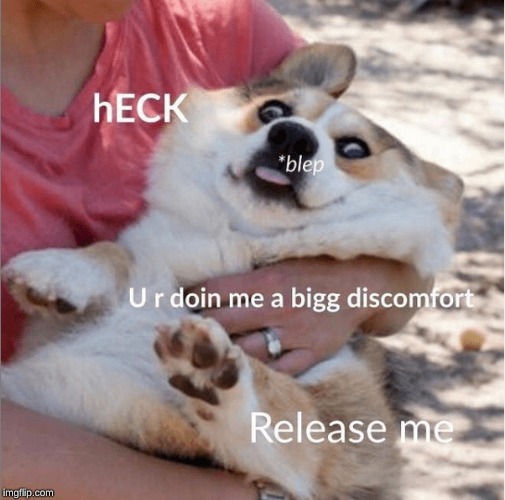 When hoomans gib too much of the loving | made w/ Imgflip meme maker