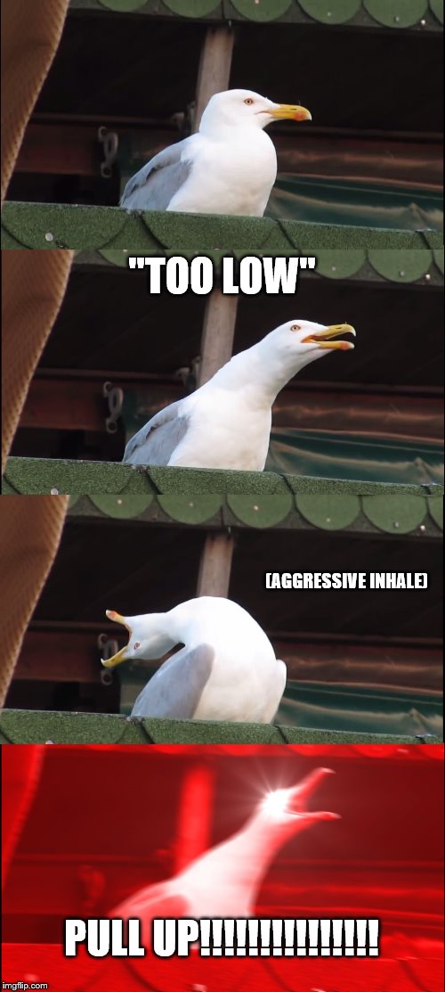 Annoying GPWS | "TOO LOW"; (AGGRESSIVE INHALE); PULL UP!!!!!!!!!!!!!!! | image tagged in memes,inhaling seagull | made w/ Imgflip meme maker