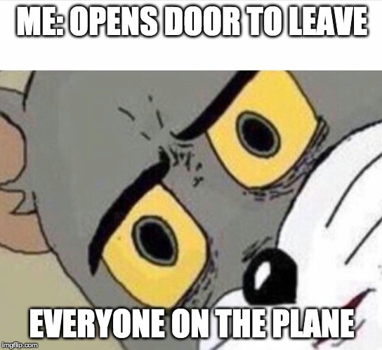 ME: OPENS DOOR TO LEAVE; EVERYONE ON THE PLANE | image tagged in disturbed tom | made w/ Imgflip meme maker