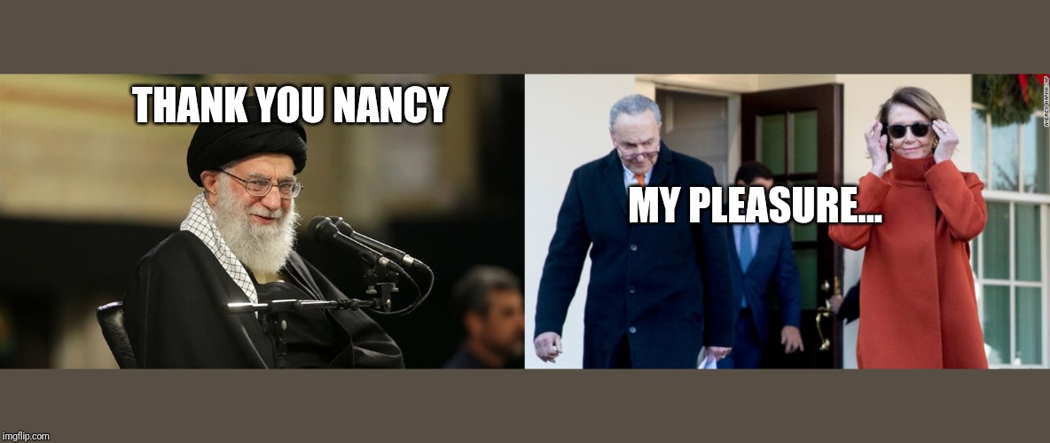 Thanks Nancy | THANK YOU NANCY; MY PLEASURE... | image tagged in donald trump | made w/ Imgflip meme maker