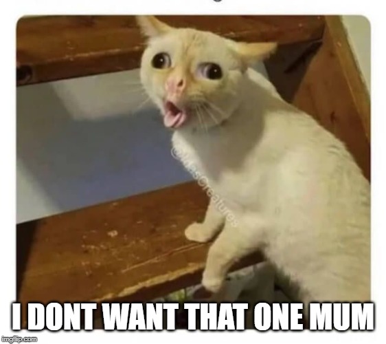 Coughing Cat | I DONT WANT THAT ONE MUM | image tagged in coughing cat | made w/ Imgflip meme maker