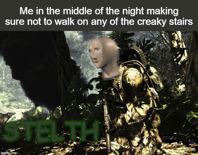 Me in the middle of the night making sure not to walk on any of the creaky stairs; STELTH | image tagged in stelth,meme man,call of duty | made w/ Imgflip meme maker