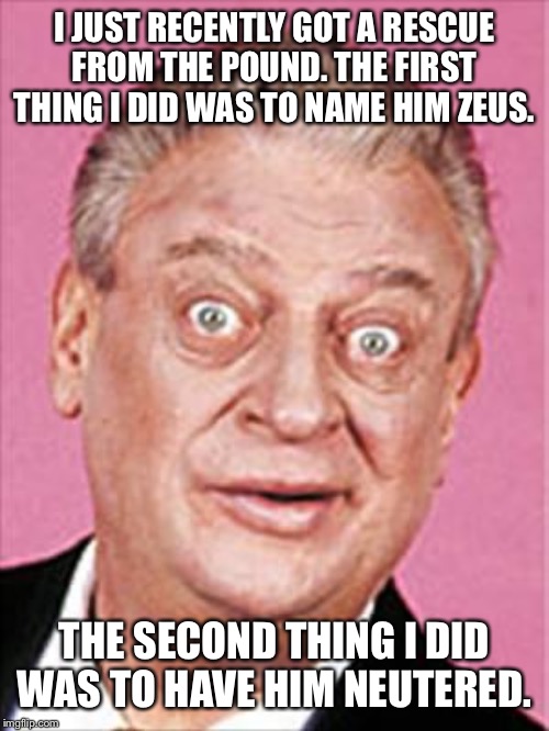 rodney dangerfield | I JUST RECENTLY GOT A RESCUE FROM THE POUND. THE FIRST THING I DID WAS TO NAME HIM ZEUS. THE SECOND THING I DID WAS TO HAVE HIM NEUTERED. | image tagged in rodney dangerfield | made w/ Imgflip meme maker