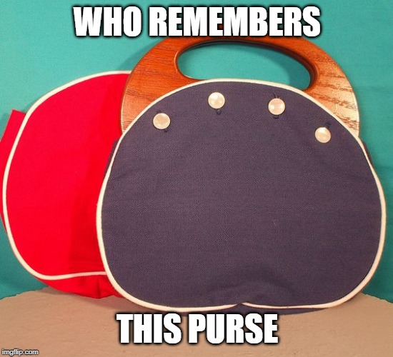 Bermuda Bags | WHO REMEMBERS; THIS PURSE | image tagged in purse,nostalgia | made w/ Imgflip meme maker