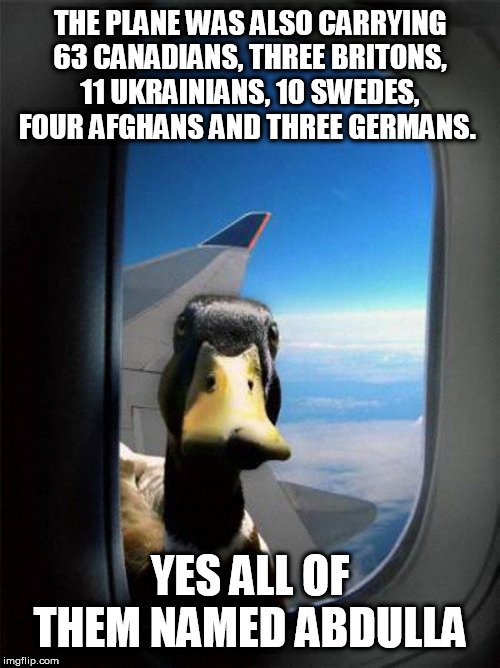 Airplane Duck | THE PLANE WAS ALSO CARRYING 63 CANADIANS, THREE BRITONS, 11 UKRAINIANS, 10 SWEDES, FOUR AFGHANS AND THREE GERMANS. YES ALL OF THEM NAMED ABDULLA | image tagged in airplane duck | made w/ Imgflip meme maker