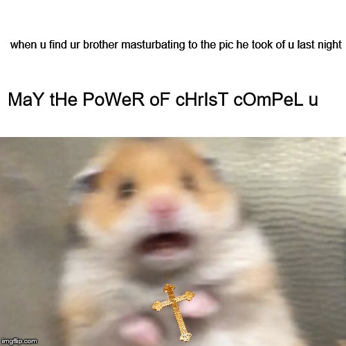 when u find ur brother masturbating to the pic he took of u last night; MaY tHe PoWeR oF cHrIsT cOmPeL u | image tagged in dank memes | made w/ Imgflip meme maker