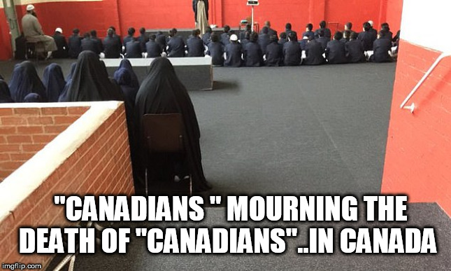 where | "CANADIANS " MOURNING THE DEATH OF "CANADIANS"..IN CANADA | image tagged in where | made w/ Imgflip meme maker