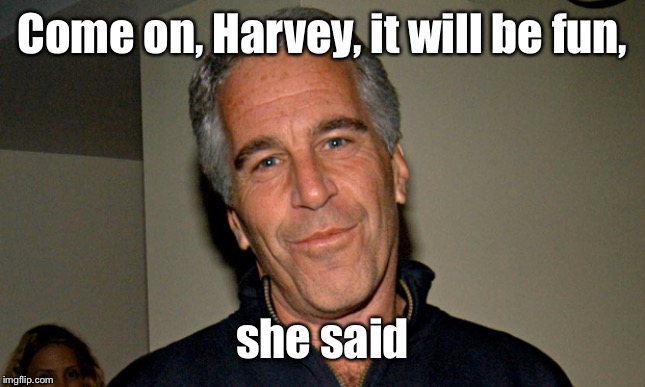 Jeffrey Epstein | Come on, Harvey, it will be fun, she said | image tagged in jeffrey epstein | made w/ Imgflip meme maker