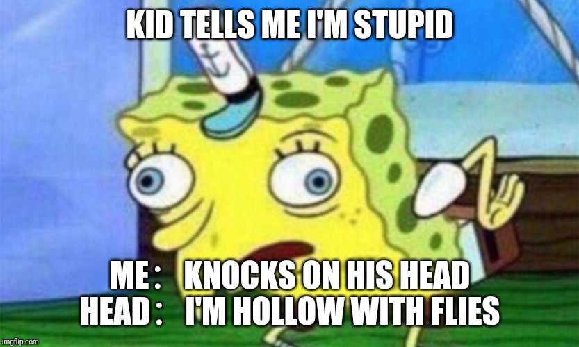 spongebob stupid | KID TELLS ME I'M STUPID; ME：KNOCKS ON HIS HEAD
HEAD：I'M HOLLOW WITH FLIES | image tagged in spongebob stupid | made w/ Imgflip meme maker