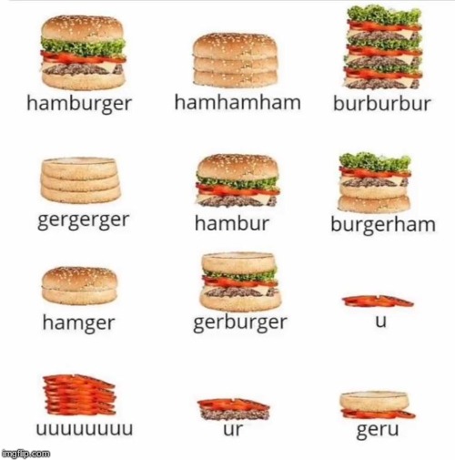 The Different Types of "Hamburger" | image tagged in hamburger,repost,geru,hamger,uuuuuuuuu,burgerham | made w/ Imgflip meme maker