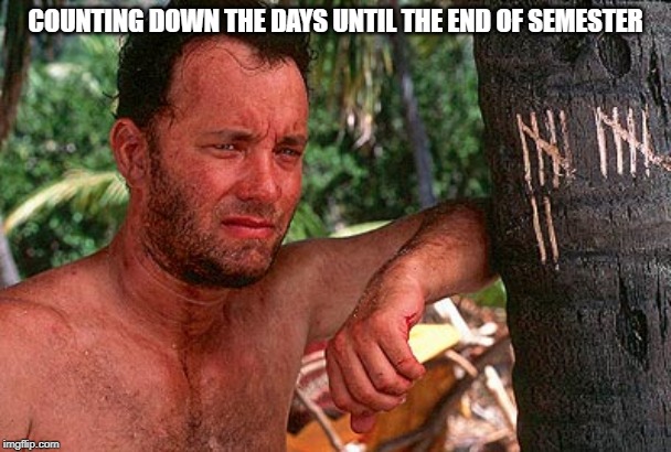Tom Hanks Castaway tree | COUNTING DOWN THE DAYS UNTIL THE END OF SEMESTER | image tagged in tom hanks castaway tree | made w/ Imgflip meme maker