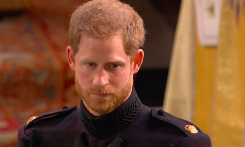 High Quality Prince harry Blank Meme Template