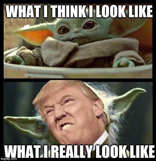 baby yoda | WHAT I THINK I LOOK LIKE; WHAT I REALLY LOOK LIKE | image tagged in baby yoda | made w/ Imgflip meme maker