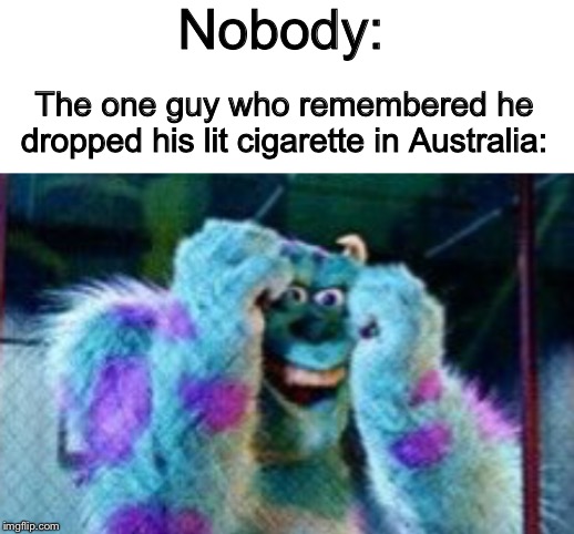 Nobody:; The one guy who remembered he dropped his lit cigarette in Australia: | image tagged in blank white template,sully scared | made w/ Imgflip meme maker