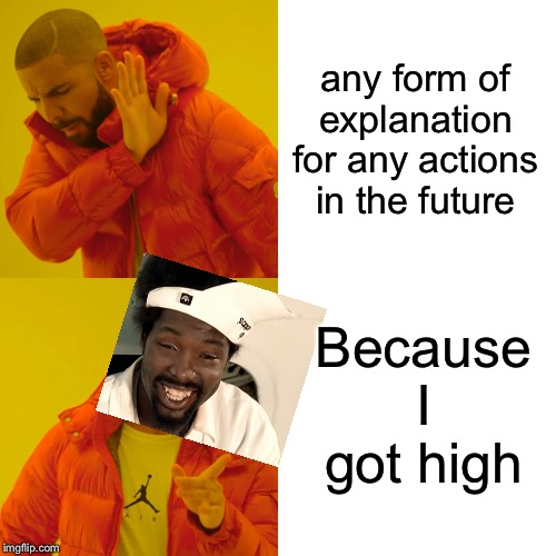 20 yrs later lol | any form of explanation for any actions in the future; Because I got high | image tagged in memes,drake hotline bling | made w/ Imgflip meme maker