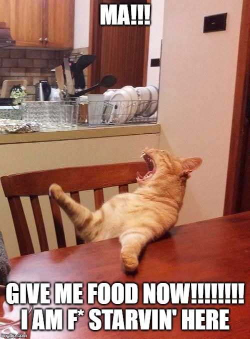 MA FB BROKEN | MA!!! GIVE ME FOOD NOW!!!!!!!! I AM F* STARVIN' HERE | image tagged in ma fb broken | made w/ Imgflip meme maker