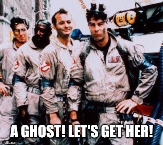 Ghost busters | A GHOST! LET'S GET HER! | image tagged in ghost busters | made w/ Imgflip meme maker