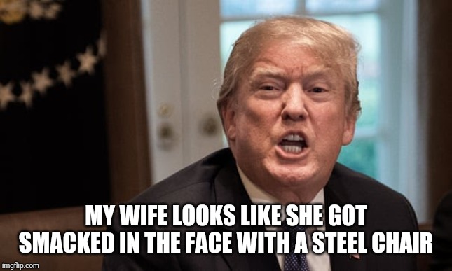 Trumptards | MY WIFE LOOKS LIKE SHE GOT SMACKED IN THE FACE WITH A STEEL CHAIR | image tagged in douchebag,election 2020,melania trump | made w/ Imgflip meme maker
