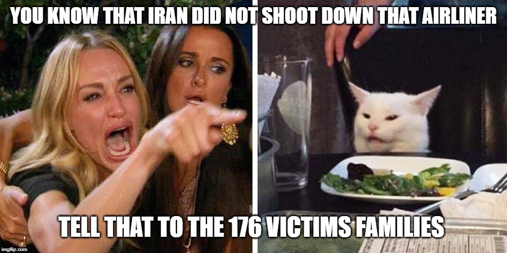 Smudge the cat | YOU KNOW THAT IRAN DID NOT SHOOT DOWN THAT AIRLINER; TELL THAT TO THE 176 VICTIMS FAMILIES | image tagged in smudge the cat | made w/ Imgflip meme maker