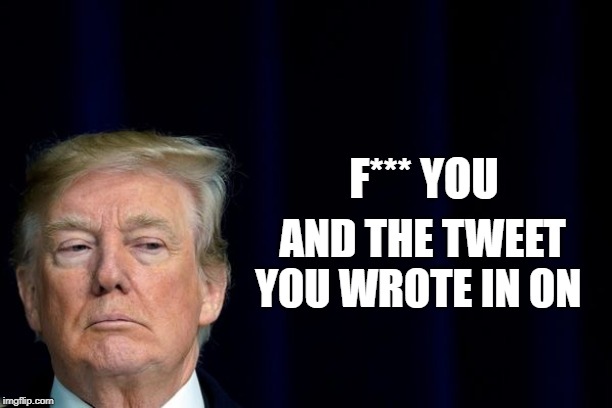 Doucholini tweets | F*** YOU; AND THE TWEET YOU WROTE IN ON | image tagged in trump,tweets | made w/ Imgflip meme maker