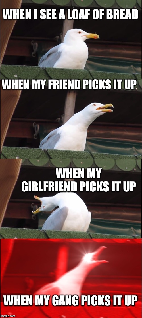 Inhaling Seagull | WHEN I SEE A LOAF OF BREAD; WHEN MY FRIEND PICKS IT UP; WHEN MY GIRLFRIEND PICKS IT UP; WHEN MY GANG PICKS IT UP | image tagged in memes,inhaling seagull | made w/ Imgflip meme maker