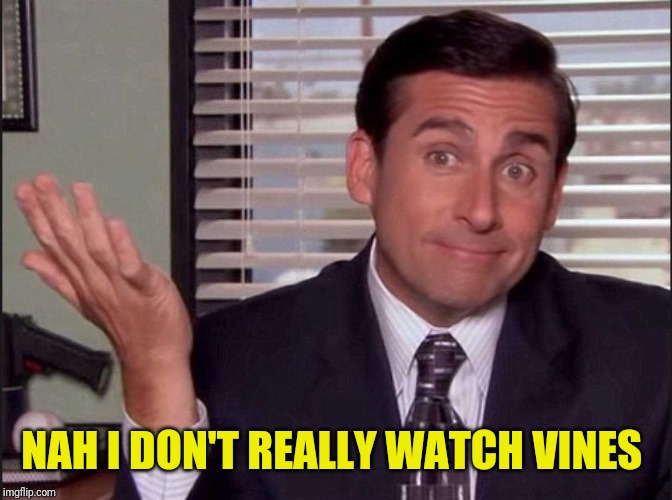 Michael Scott | NAH I DON'T REALLY WATCH VINES | image tagged in michael scott | made w/ Imgflip meme maker