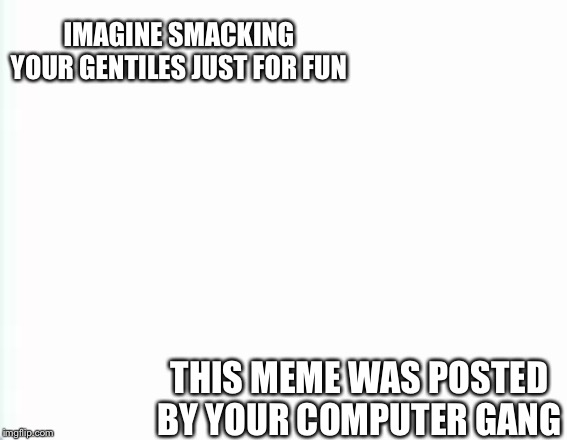 White screen | IMAGINE SMACKING YOUR GENTILES JUST FOR FUN; THIS MEME WAS POSTED BY YOUR COMPUTER GANG | image tagged in white screen | made w/ Imgflip meme maker