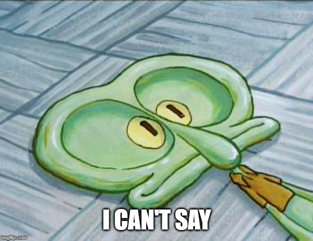 Flat face squidward | I CAN'T SAY | image tagged in flat face squidward | made w/ Imgflip meme maker
