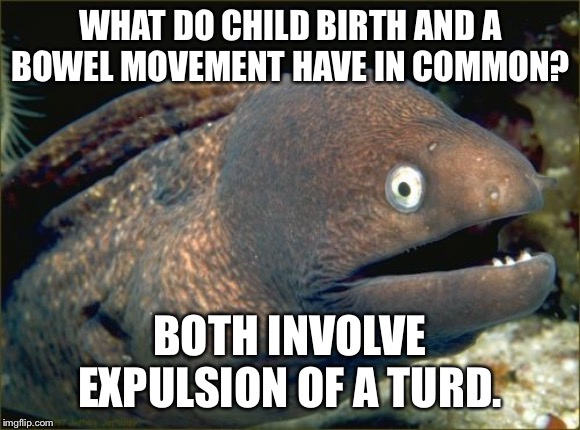 Children are little shits | WHAT DO CHILD BIRTH AND A BOWEL MOVEMENT HAVE IN COMMON? BOTH INVOLVE EXPULSION OF A TURD. | image tagged in memes,bad joke eel,children,bathroom humor,poop,birth | made w/ Imgflip meme maker