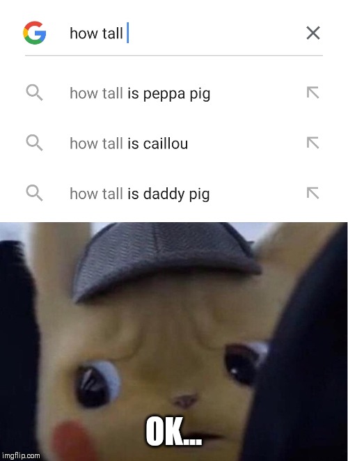 OK... | image tagged in unsettled pikachu | made w/ Imgflip meme maker