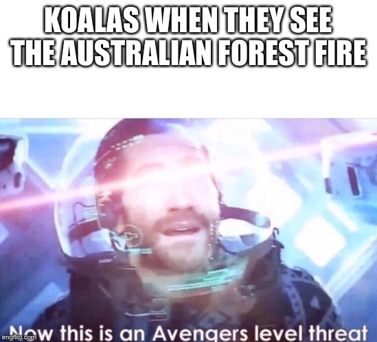 KOALAS WHEN THEY SEE THE AUSTRALIAN FOREST FIRE | image tagged in blank white template,now this is an avengers level threat | made w/ Imgflip meme maker