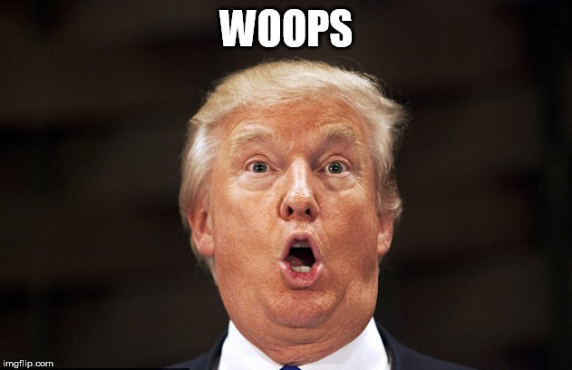 Trump's Oh Face | WOOPS | image tagged in trump's oh face | made w/ Imgflip meme maker