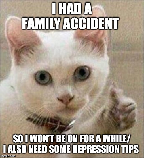 I need tips to help get through depression | I HAD A FAMILY ACCIDENT; SO I WON’T BE ON FOR A WHILE/ I ALSO NEED SOME DEPRESSION TIPS | image tagged in cats | made w/ Imgflip meme maker