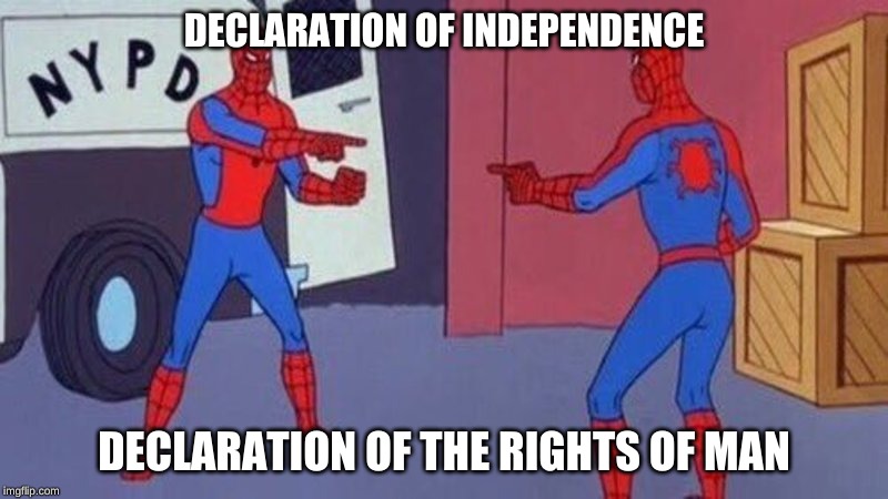 spiderman pointing at spiderman | DECLARATION OF INDEPENDENCE; DECLARATION OF THE RIGHTS OF MAN | image tagged in spiderman pointing at spiderman | made w/ Imgflip meme maker