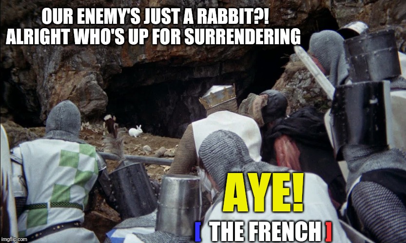 monty python rabbit | THE FRENCH OUR ENEMY'S JUST A RABBIT?!
ALRIGHT WHO'S UP FOR SURRENDERING AYE! [ ] | image tagged in monty python rabbit | made w/ Imgflip meme maker