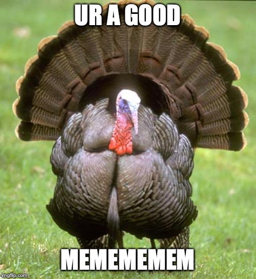Turkey Meme | UR A GOOD MEMEMEMEM | image tagged in memes,turkey | made w/ Imgflip meme maker