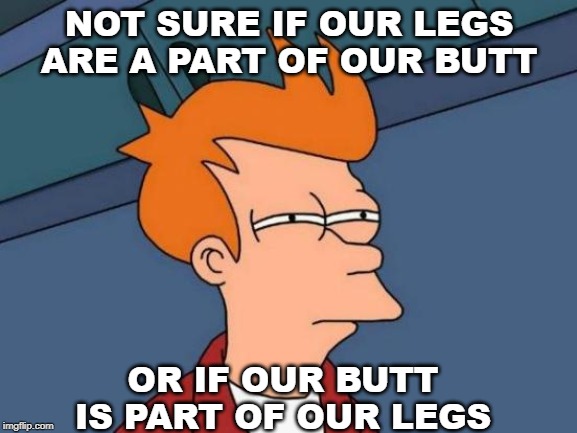 But...! | NOT SURE IF OUR LEGS ARE A PART OF OUR BUTT; OR IF OUR BUTT IS PART OF OUR LEGS | image tagged in memes,futurama fry,butt,legs | made w/ Imgflip meme maker