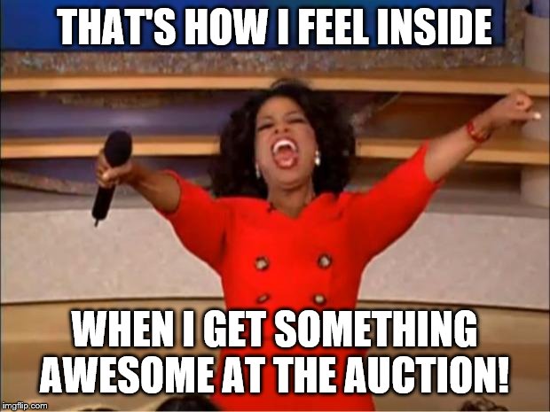 Oprah You Get A | THAT'S HOW I FEEL INSIDE; WHEN I GET SOMETHING AWESOME AT THE AUCTION! | image tagged in memes,oprah you get a | made w/ Imgflip meme maker