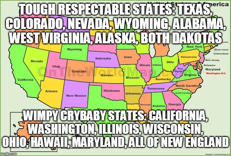 Not all states are created equal | TOUGH RESPECTABLE STATES: TEXAS, COLORADO, NEVADA, WYOMING, ALABAMA, WEST VIRGINIA, ALASKA, BOTH DAKOTAS; WIMPY CRYBABY STATES: CALIFORNIA, WASHINGTON, ILLINOIS, WISCONSIN, OHIO, HAWAII, MARYLAND, ALL OF NEW ENGLAND | image tagged in states,usa,map,united states,country,us map | made w/ Imgflip meme maker