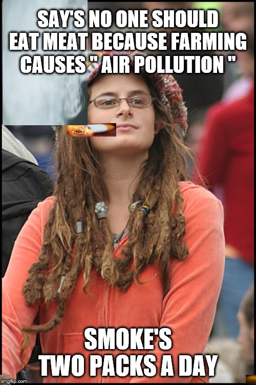 hippie girl big | SAY'S NO ONE SHOULD EAT MEAT BECAUSE FARMING CAUSES " AIR POLLUTION "; SMOKE'S TWO PACKS A DAY | image tagged in hippie girl big | made w/ Imgflip meme maker