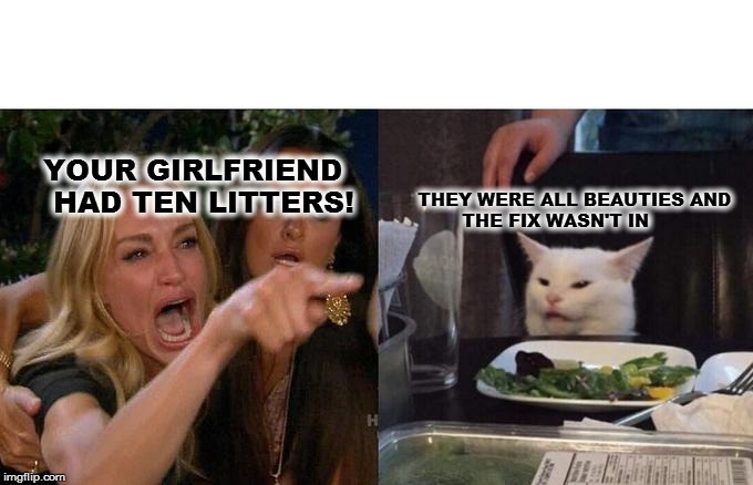 Woman Yelling At Cat | YOUR GIRLFRIEND 
     HAD TEN LITTERS! THEY WERE ALL BEAUTIES AND 
        THE FIX WASN'T IN | image tagged in memes,woman yelling at cat | made w/ Imgflip meme maker