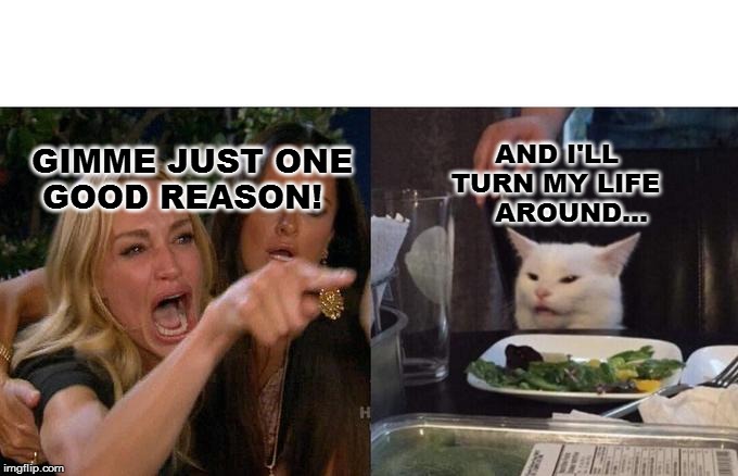 Woman Yelling At Cat | GIMME JUST ONE 
 GOOD REASON! AND I'LL 
       TURN MY LIFE 
            AROUND... | image tagged in memes,woman yelling at cat | made w/ Imgflip meme maker