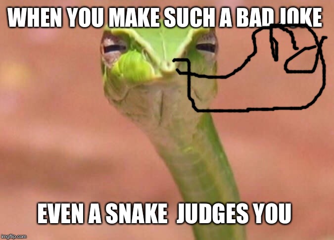 Georgie snake Georgie snake | WHEN YOU MAKE SUCH A BAD JOKE; EVEN A SNAKE  JUDGES YOU | image tagged in skeptical snake | made w/ Imgflip meme maker