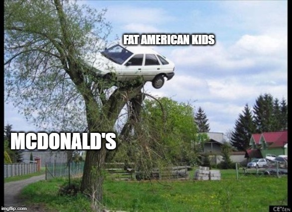 Secure Parking | FAT AMERICAN KIDS; MCDONALD'S | image tagged in memes,secure parking | made w/ Imgflip meme maker