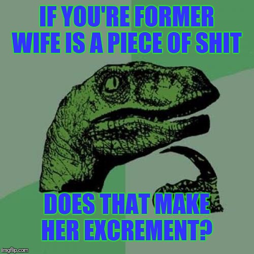 Philosoraptor | IF YOU'RE FORMER WIFE IS A PIECE OF SHIT; DOES THAT MAKE HER EXCREMENT? | image tagged in memes,philosoraptor | made w/ Imgflip meme maker