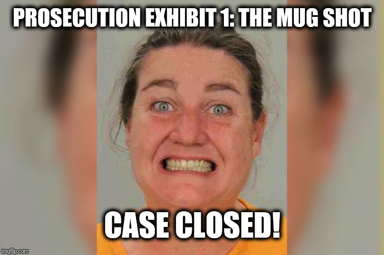 All you need to know... | PROSECUTION EXHIBIT 1: THE MUG SHOT; CASE CLOSED! | image tagged in assault,crazy girlfriend | made w/ Imgflip meme maker