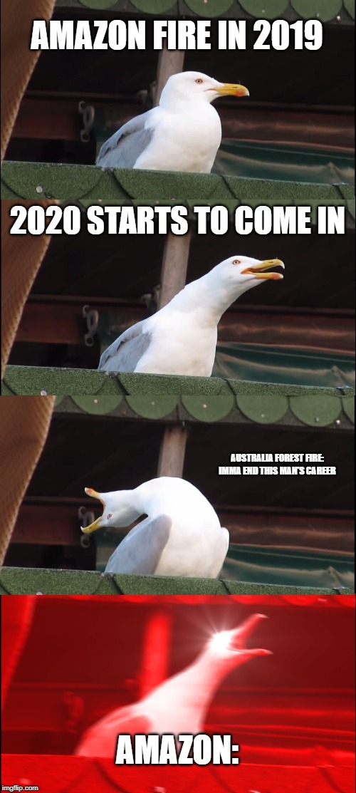 Inhaling Seagull | AMAZON FIRE IN 2019; 2020 STARTS TO COME IN; AUSTRALIA FOREST FIRE: IMMA END THIS MAN'S CAREER; AMAZON: | image tagged in memes,inhaling seagull | made w/ Imgflip meme maker