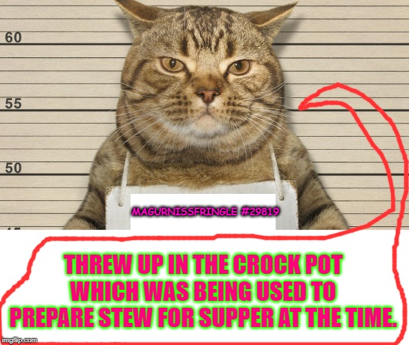 ate my 'owner' | MAGURNISSFRINGLE #29819; THREW UP IN THE CROCK POT WHICH WAS BEING USED TO PREPARE STEW FOR SUPPER AT THE TIME. | image tagged in ate my 'owner' | made w/ Imgflip meme maker